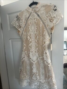 superdown Ivory Lace Mini Dress with Nude Lining